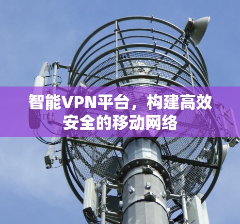 智能VPN平台，构建高效安全的移动网络