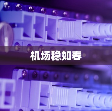 机场稳如春 机场稳如春