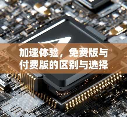 加速体验，免费版与付费版的区别与选择