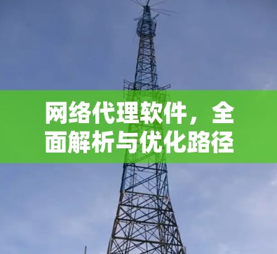 网络代理软件，全面解析与优化路径