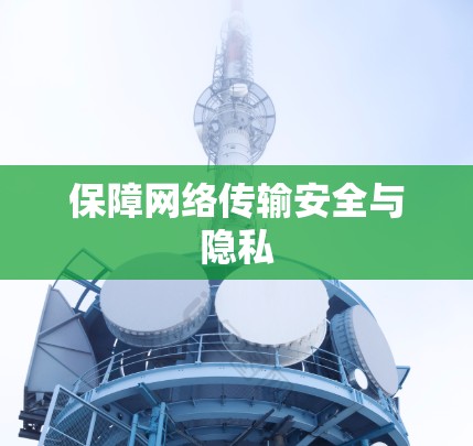 保障网络传输安全与隐私