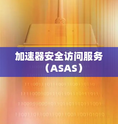 加速器安全访问服务（ASAS）