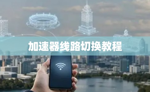 加速器线路切换教程