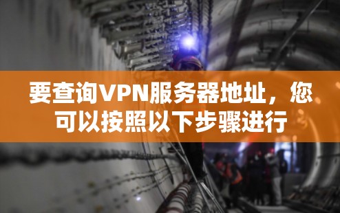 要查询VPN服务器地址，您可以按照以下步骤进行