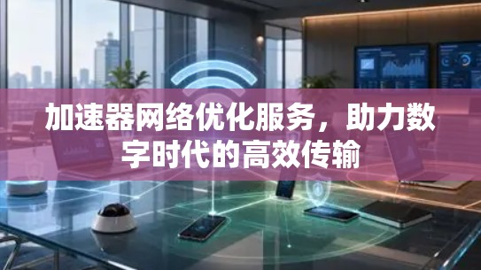 加速器网络优化服务，助力数字时代的高效传输