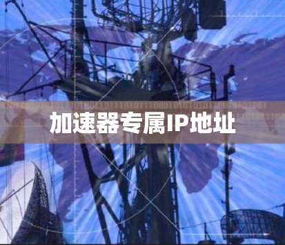 加速器专属IP地址