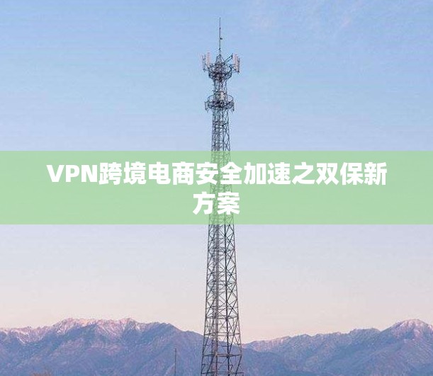 VPN跨境电商安全加速之双保新方案