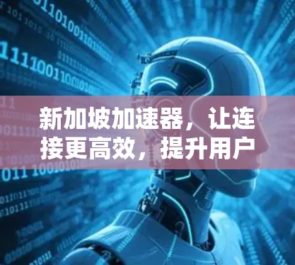新加坡加速器，让连接更高效，提升用户体验
