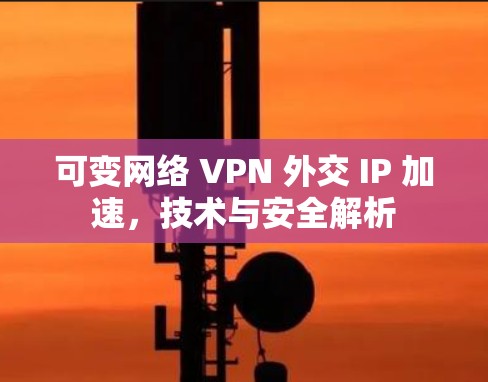 可变网络 VPN 外交 IP 加速，技术与安全解析