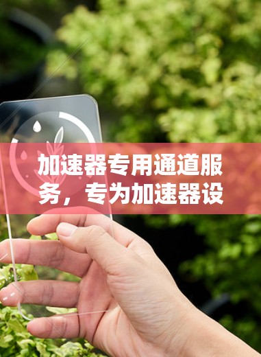加速器专用通道服务，专为加速器设计的高效网络解决方案