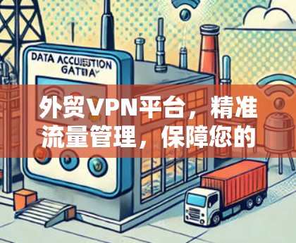 外贸VPN平台，精准流量管理，保障您的网络安全