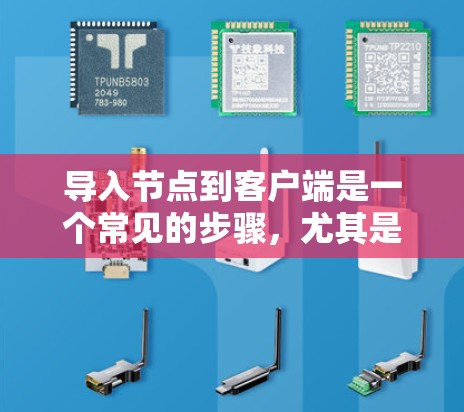 导入节点到客户端是一个常见的步骤,尤其是在云平台或云服务环境中。以下是一个详细的教程,帮助您了解如何将节点导入客户端