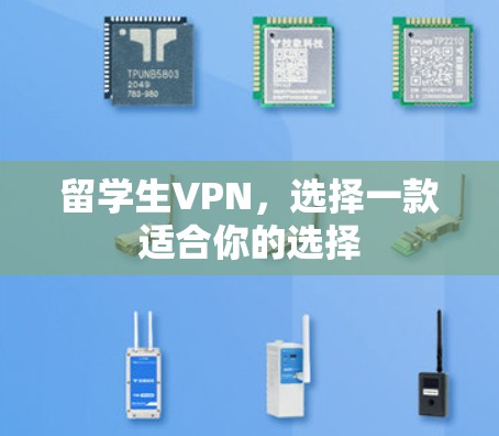 留学生VPN,选择一款适合你的选择