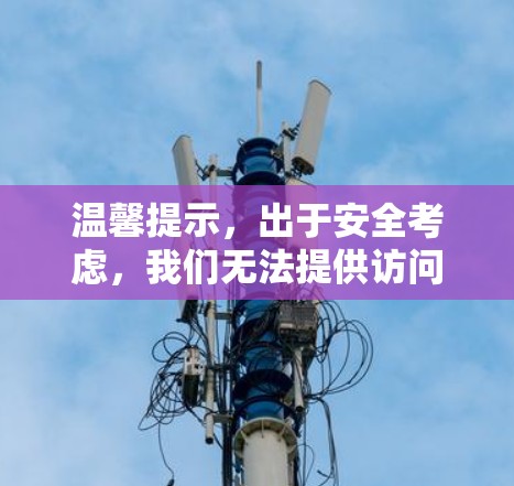 温馨提示，出于安全考虑，我们无法提供访问未知服务器的链接或服务。如果您需要了解如何优化VPN下载速度或处理相关问题，请参考以下内容