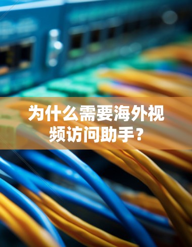 为什么需要海外视频访问助手？