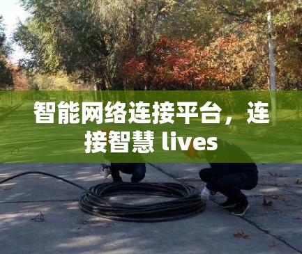 智能网络连接平台,连接智慧 lives
