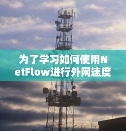 为了学习如何使用NetFlow进行外网速度检测，您可以按照以下步骤进行