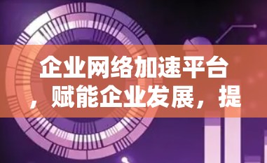 企业网络加速平台，赋能企业发展，提升效率与安全