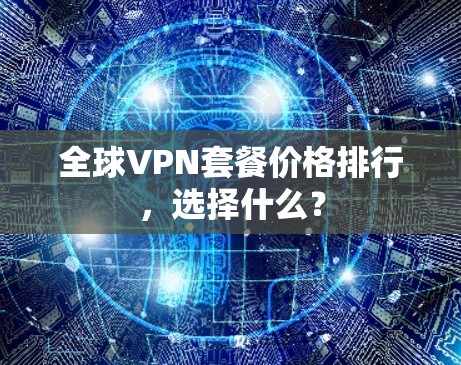 全球VPN套餐价格排行，选择什么？