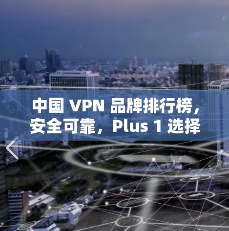 中国 VPN 品牌排行榜，安全可靠，Plus 1 选择