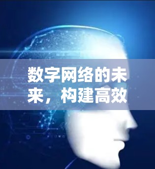 数字网络的未来，构建高效、安全的通信网络