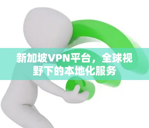 新加坡VPN平台，全球视野下的本地化服务