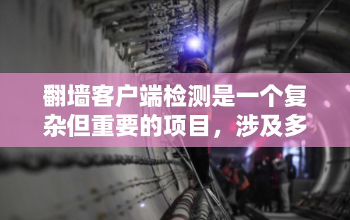 翻墙客户端检测是一个复杂但重要的项目,涉及多个技术领域和因素。以下是对该主题的分步指南