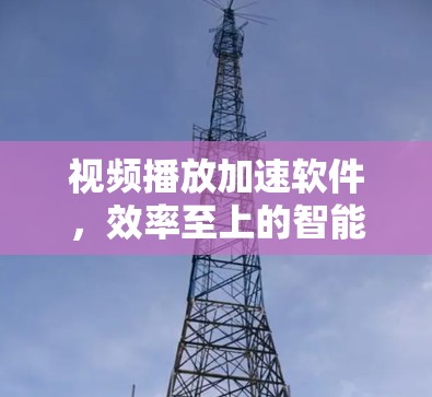 视频播放加速软件，效率至上的智能解决方案
