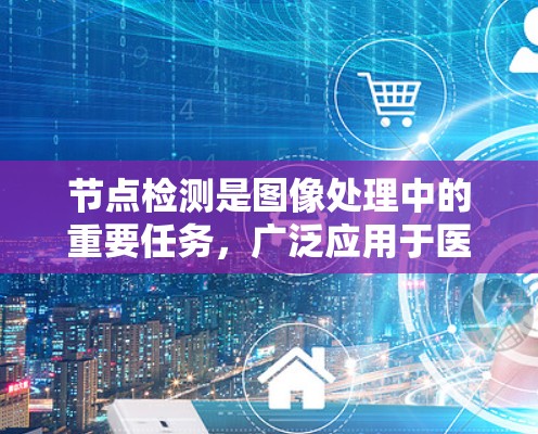 节点检测是图像处理中的重要任务，广泛应用于医疗、工业、交通等领域。国际节点检测服务是一种全球性的节点检测平台，用于支持节点定位和分类。以下是对该领域的一些详细说明和总结