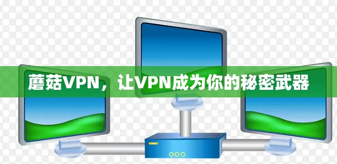 蘑菇VPN,让VPN成为你的秘密武器