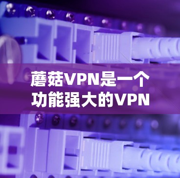 蘑菇VPN是一个功能强大的VPN服务，适合追求高效娱乐和快速连接的用户。以下是对蘑菇VPN使用方法的详细指南