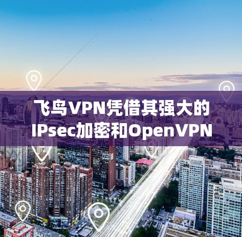 飞鸟VPN凭借其强大的IPsec加密和OpenVPN协议,展现出不错的性能和安全性。以下是对其性能的综合分析