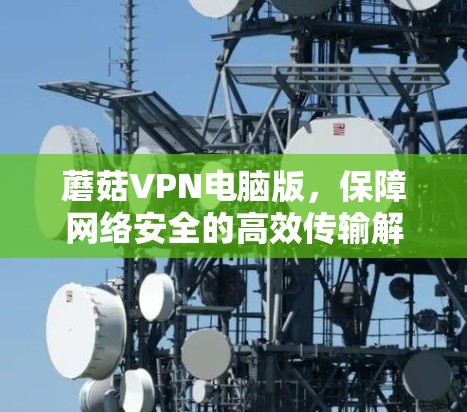 蘑菇VPN电脑版，保障网络安全的高效传输解决方案