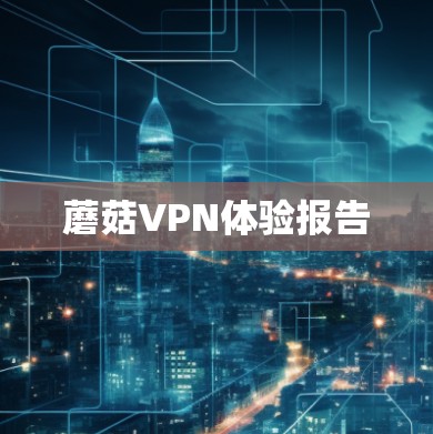 蘑菇VPN体验报告