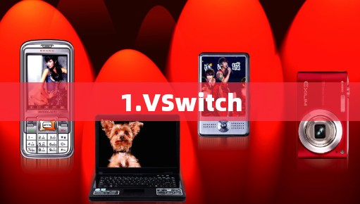 1.VSwitch