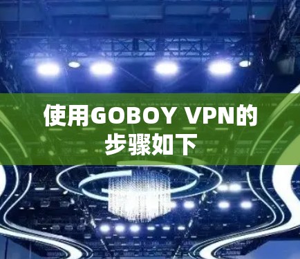 使用GOBOY VPN的步骤如下