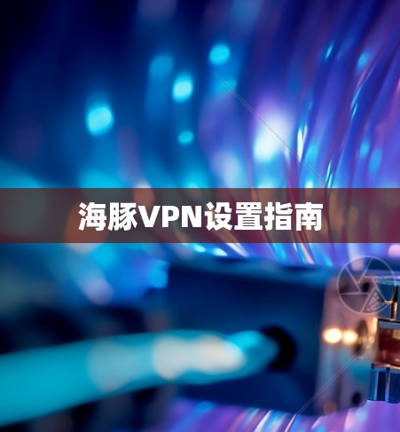 海豚VPN设置指南