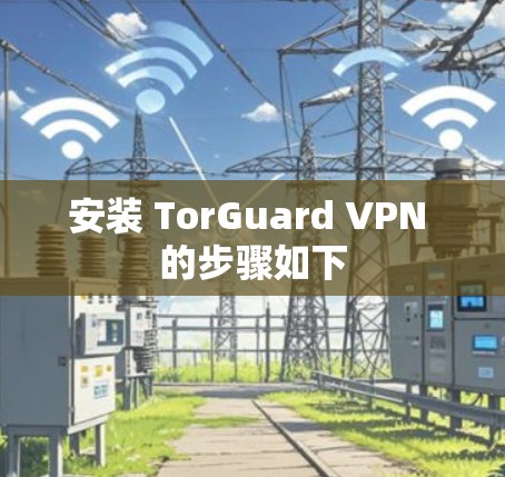 安装 TorGuard VPN 的步骤如下