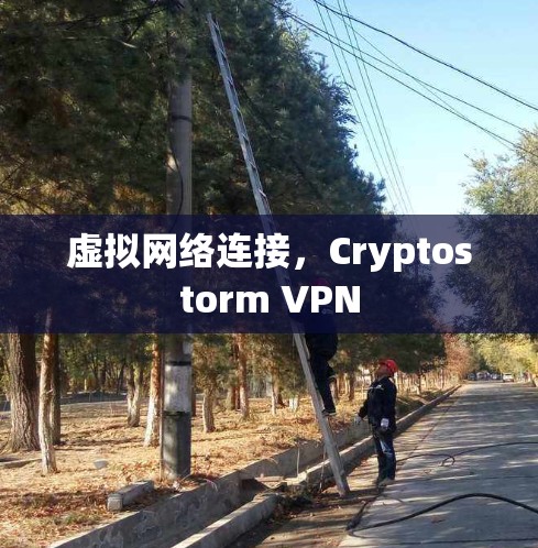 虚拟网络连接，Cryptostorm VPN