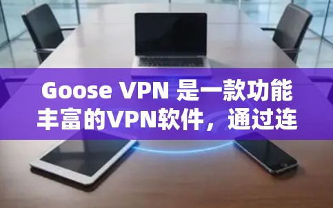Goose VPN 是一款功能丰富的VPN软件，通过连接到云服务器来访问远程资源，如文件、网页和设备。以下是其主要功能的详细介绍