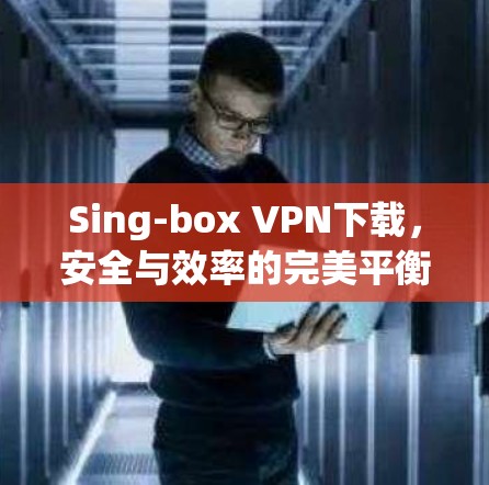 Sing-box VPN下载，安全与效率的完美平衡