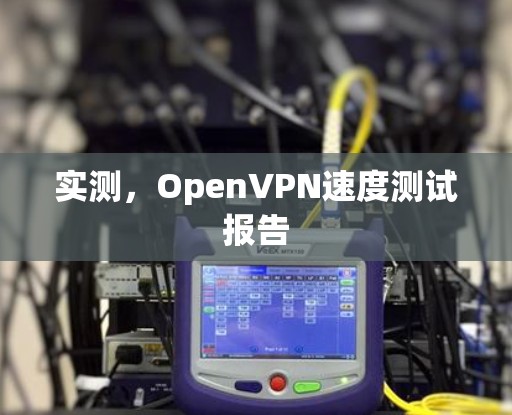 实测，OpenVPN速度测试报告