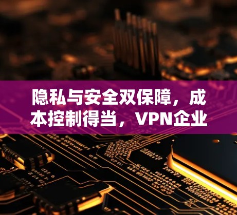 隐私与安全双保障,成本控制得当,VPN企业连接服务