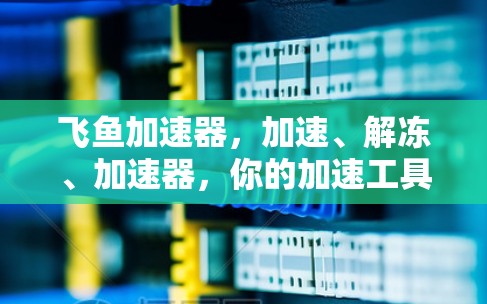 飞鱼加速器,加速、解冻、加速器,你的加速工具